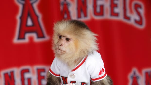 Angels rally monkey